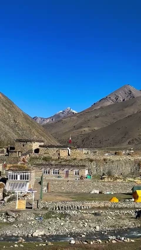 Wildlife & Nature Exploration